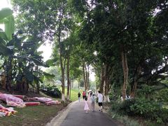 -广西壮族自治区药用植物园