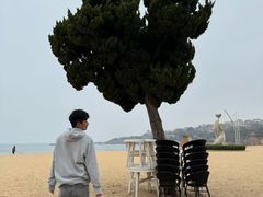 -青岛第一海水浴场