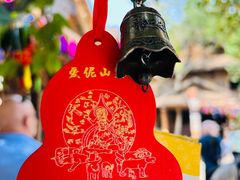 -西双版纳原始森林公园