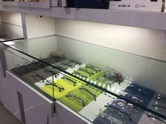 -提一眼镜·蔡司·依视路(小寨店)
