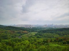 -粒上皇(淮河路步行街店)