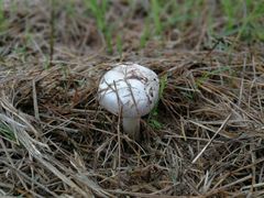 景点-汉长安城未央宫国家考古遗址公园