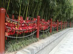 -西安曲江寒窑遗址公园