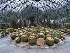 -深圳仙湖植物园
