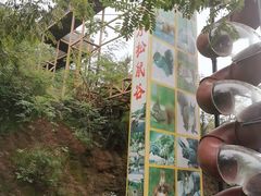 -欢乐松鼠谷