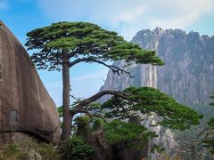 -黄山风景区