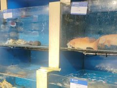 -鹰龙海畔度假酒店(咸祥店)
