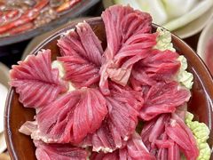 -阳阳老火锅(小南门店)