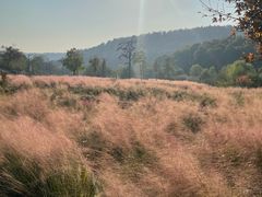 -南京市无想山景区