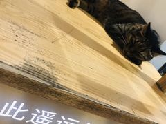 -猫的天空之城概念书店(苏州平江店)
