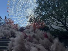 -南昌之星摩天轮