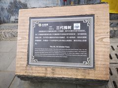 -大槐树寻根祭祖园