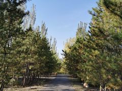 -大青山野生动物园