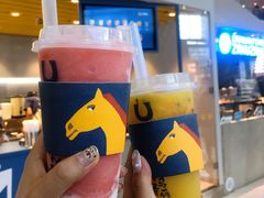 -春丽小马(济南恒隆广场店)