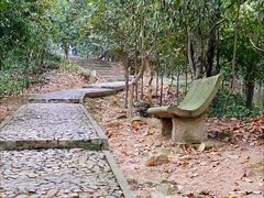 -上海佘山国家森林公园天马山园