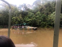 -热带雨林自然公园