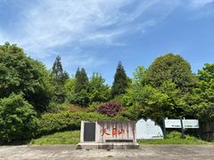 -天目山大树王景区