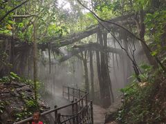 -青青世界