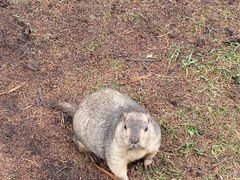 -水洞沟旅游区