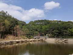 -广州市帽峰山景区