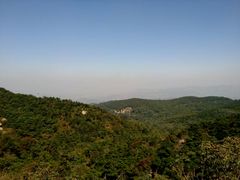 -鲁山国家森林公园