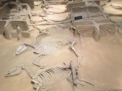 -洛阳周王城天子驾六博物馆