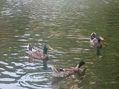 -菜根香土菜馆(文昌东路店)