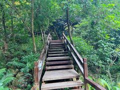-石排湾郊野公园