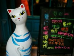 -猫咪博物馆(顶澳仔猫街店)