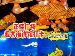 -正佳极地海洋世界