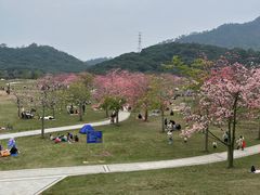 -风云岭森林公园