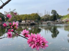 -无锡蠡湖国家湿地公园-蠡园