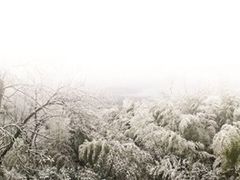 -紫金山天文台