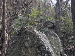 -木兰云雾山