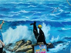 -左海海底世界