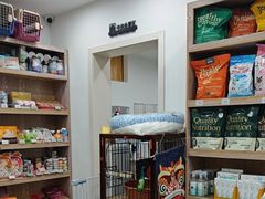-四月宠物医院·猫专科·心脏专科·内科(转塘店)