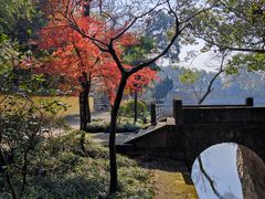 -阿育王寺