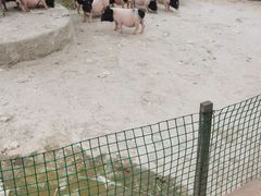 -北戴河集发农业梦想王国