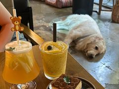 -咖法森林·咖啡  酒吧(天河店)