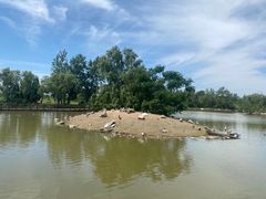 -盐城丹顶鹤湿地生态旅游区