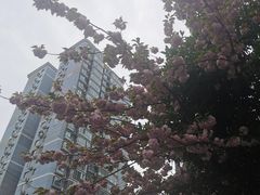 -中国移动(田林路营业厅)
