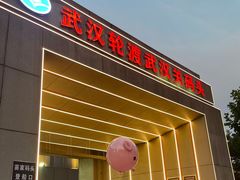 -武汉关码头(轮渡站)