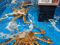 -盒马鲜生(观音桥店)