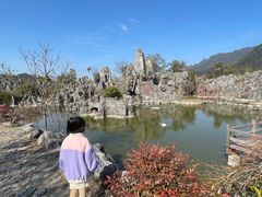 -千岛湖石林