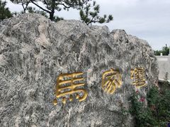 -马家湾湿地公园