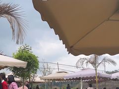 -正宗火盆自助烧烤·烤全羊·柴火鸡(龙泉山店)