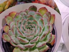 -KKV(深圳宏发大仟里店)