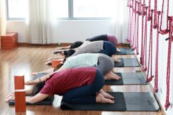 点击看大图 -Y+U遇瑜伽·普拉提