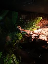 -酷嗒动物文化乐园(cutezoo西溪乐天城店)