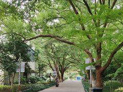 -杭州半山国家森林公园